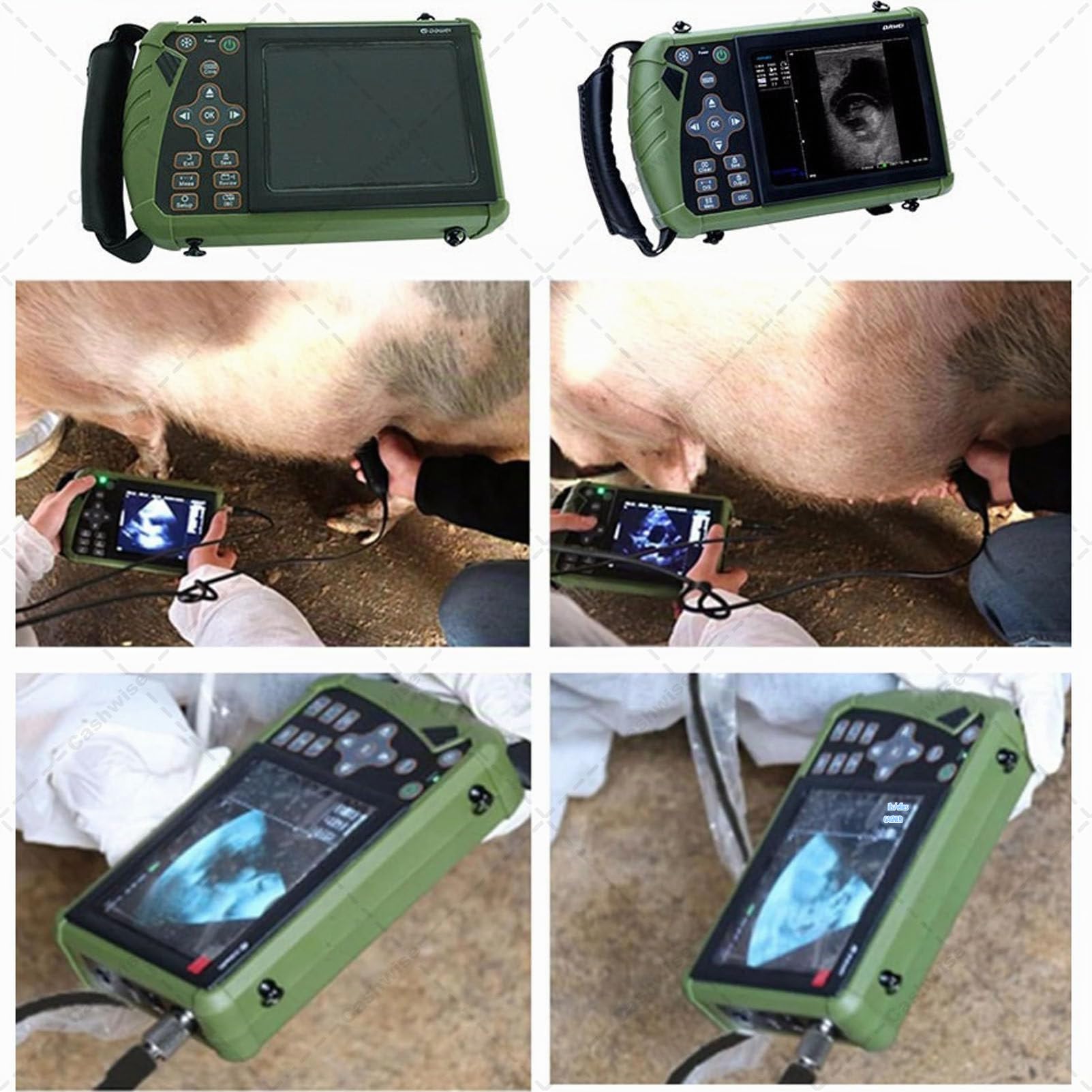 Échographe vétérinaire Portable, sonde 3,5 MHz, écran LED 5,6 Pouces, Images HD, pour la Gestation des porcs, Moutons, Chiens et Chats