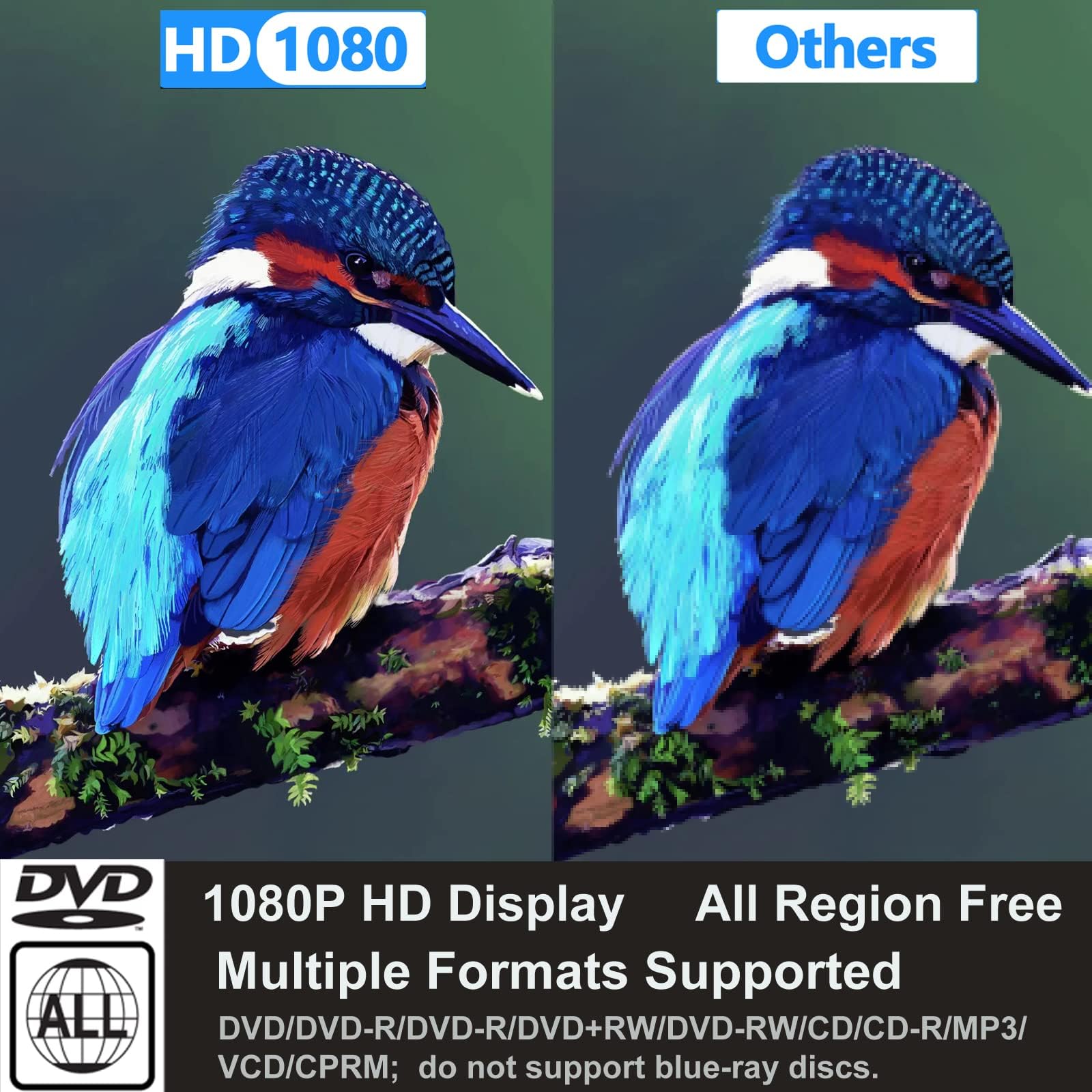 DVD CD Player für Fernseher, Up-Convert to HD 1080p, All Region, Breakpoint Memory, Eingebautes PAL/NTSC, USB 2.0