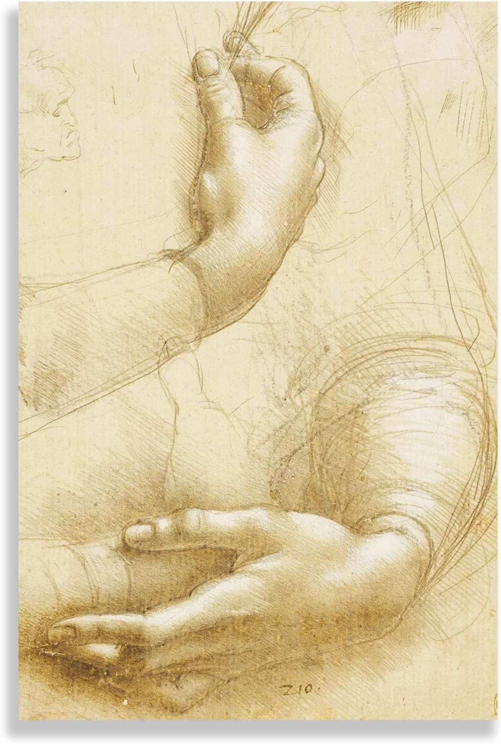 123 Life Leonardo Da Vinci Canvas Wall Art - Study of Hands Poster - Sketch Art Prints for Home Office Bedroom Living Room Unframed 8x12inches/20x30cm
