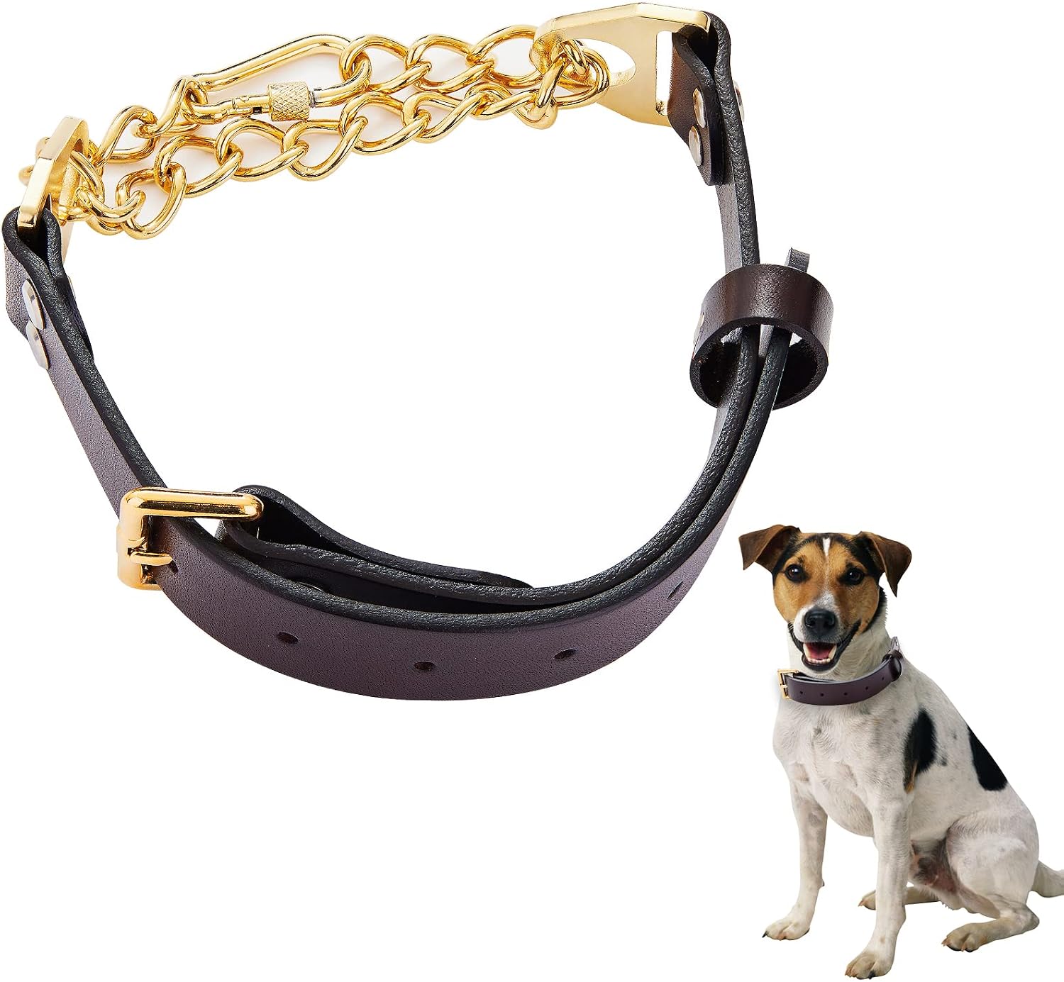 Wlpetty Leather Training Collar for Small Medium Large Dogs Brown Martingale Collar Stainless Steel Chain with Secure Buckle 18K Gold /…