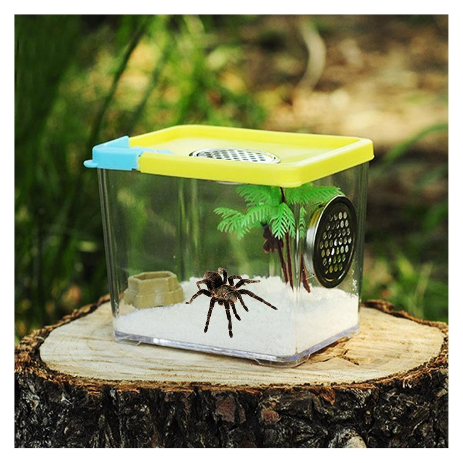 Reptilien-Terrarium, Transparente Acryl-Reptilien-Futter-Terrariumbox for Schildkröten-Eidechsen-Spinne