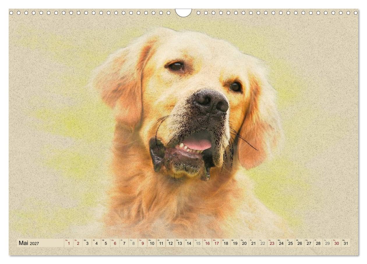CALVENDO - Golden Retriever 2027 (Wandkalender 2027 DIN A3 quer), Monatskalender: Golden Retriever im kunstvollen Aquarell-Stil. Jedes Monatsmotiv gleicht einem kleinen Kunstwerk