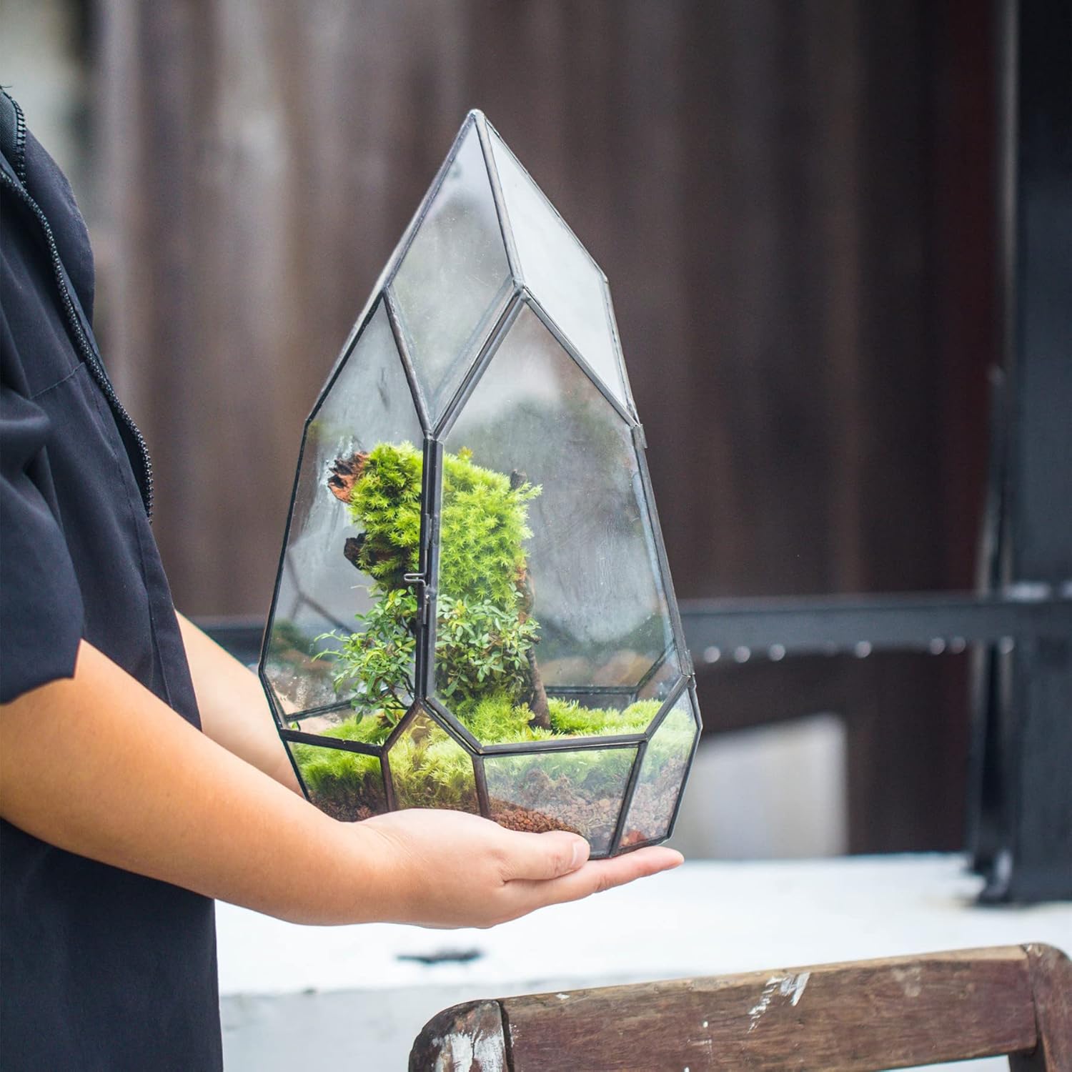 NCYP Modern Black Glass Geometric Terrarium Container with Door - Balcony Planter DIY Display Flower Pot for Succulent Fern - Tabletop Miniature Botanical Fairy Garden (No Plants)