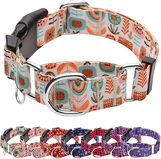 Martingale Collar for Dogs with TAG Ring, Adjustable Soft Nylon Dog Collars with Buckle Heavy Duty for Small, Medium & Large Dogs (Boho,M)