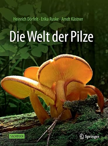Die Welt Der Pilze