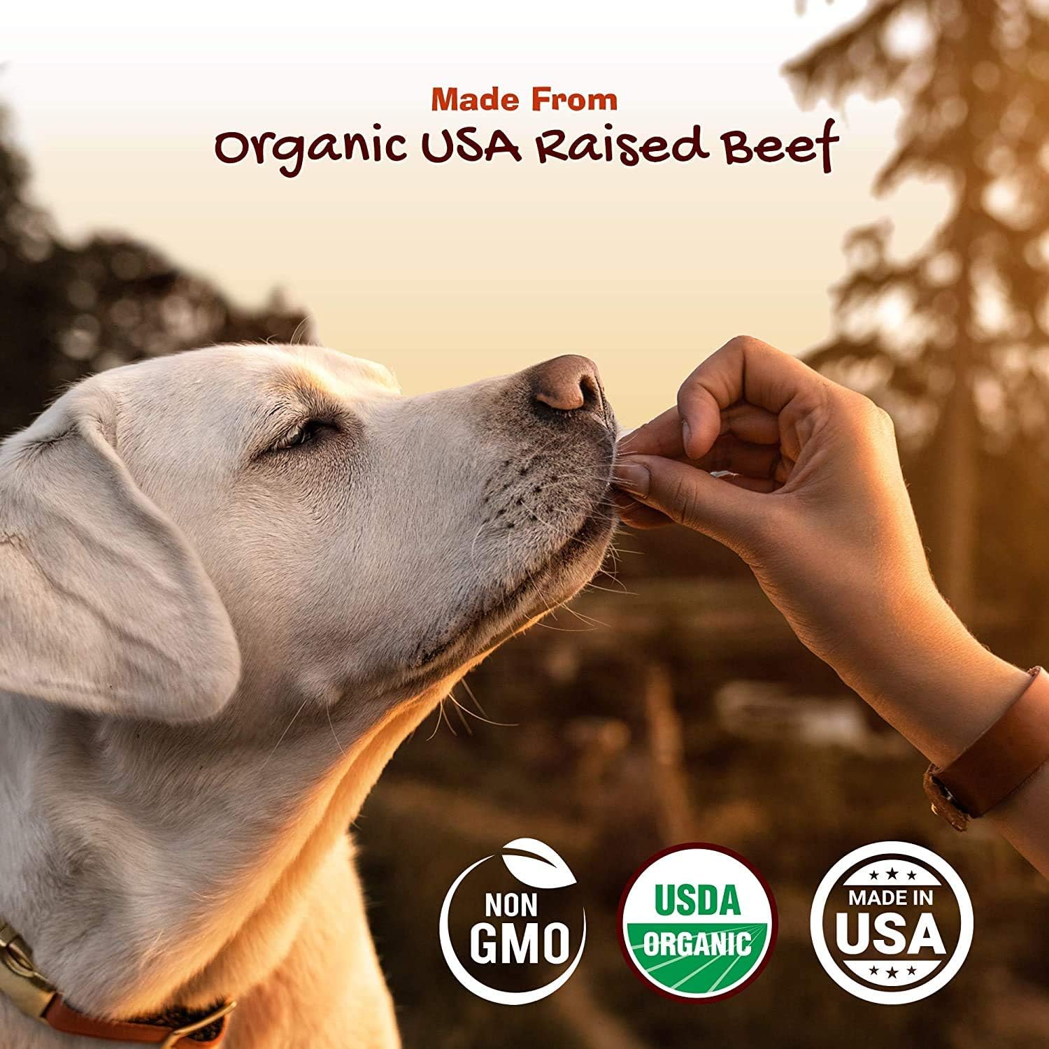 Riley's Organics Jerky Rolls Beef Recipe Dog Treats 2 Pack 5 oz