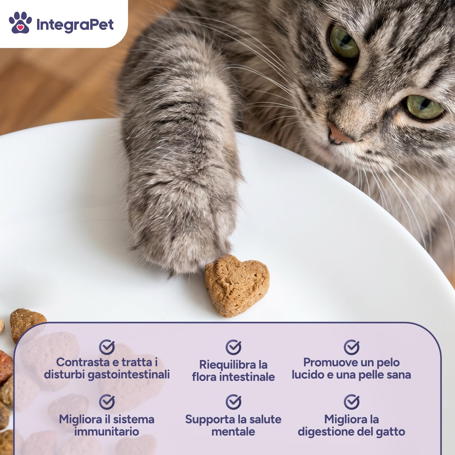 Integrapet Probiotici per Gatti con Fermenti Lattici Gatti – Probiotici Prebiotici Digestivi, 90 Snack Naturali Gusto Pollo per Regolarità Intestinale e Difese