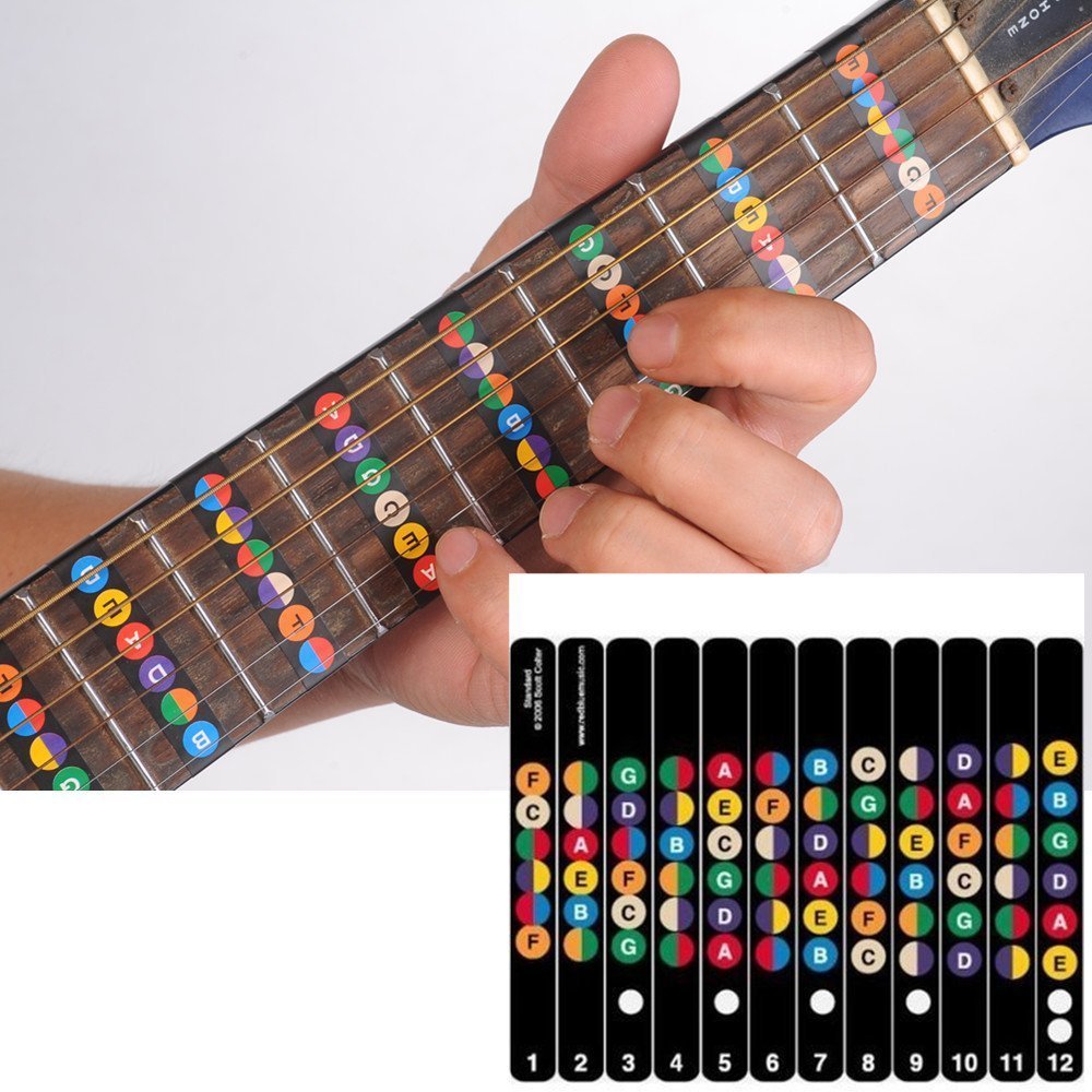 Amazon.com: Guitar Fretboard Note Decals Sticker Color Coded Guide