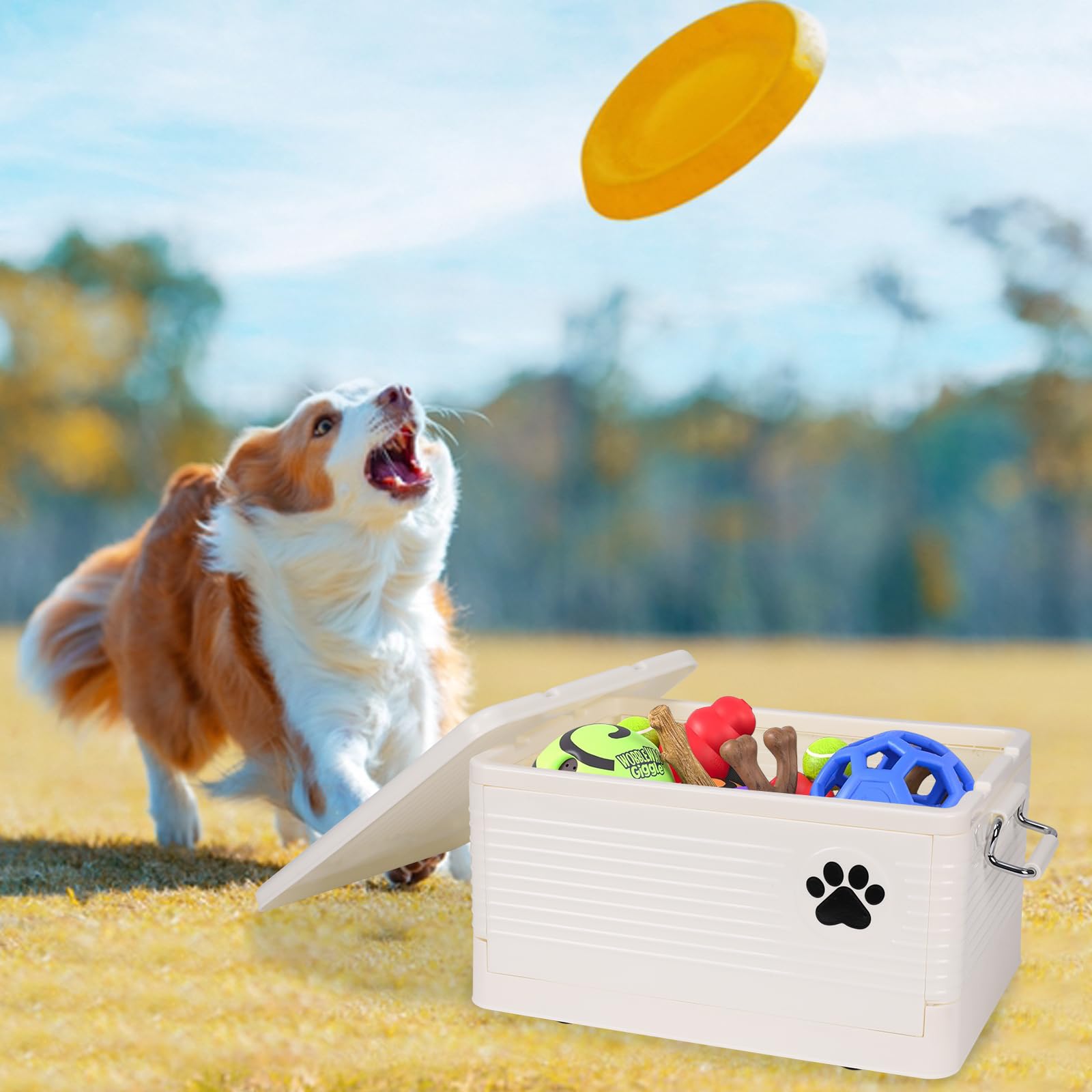 Dog Toy Basket Medium, Collapsible Pet Toy