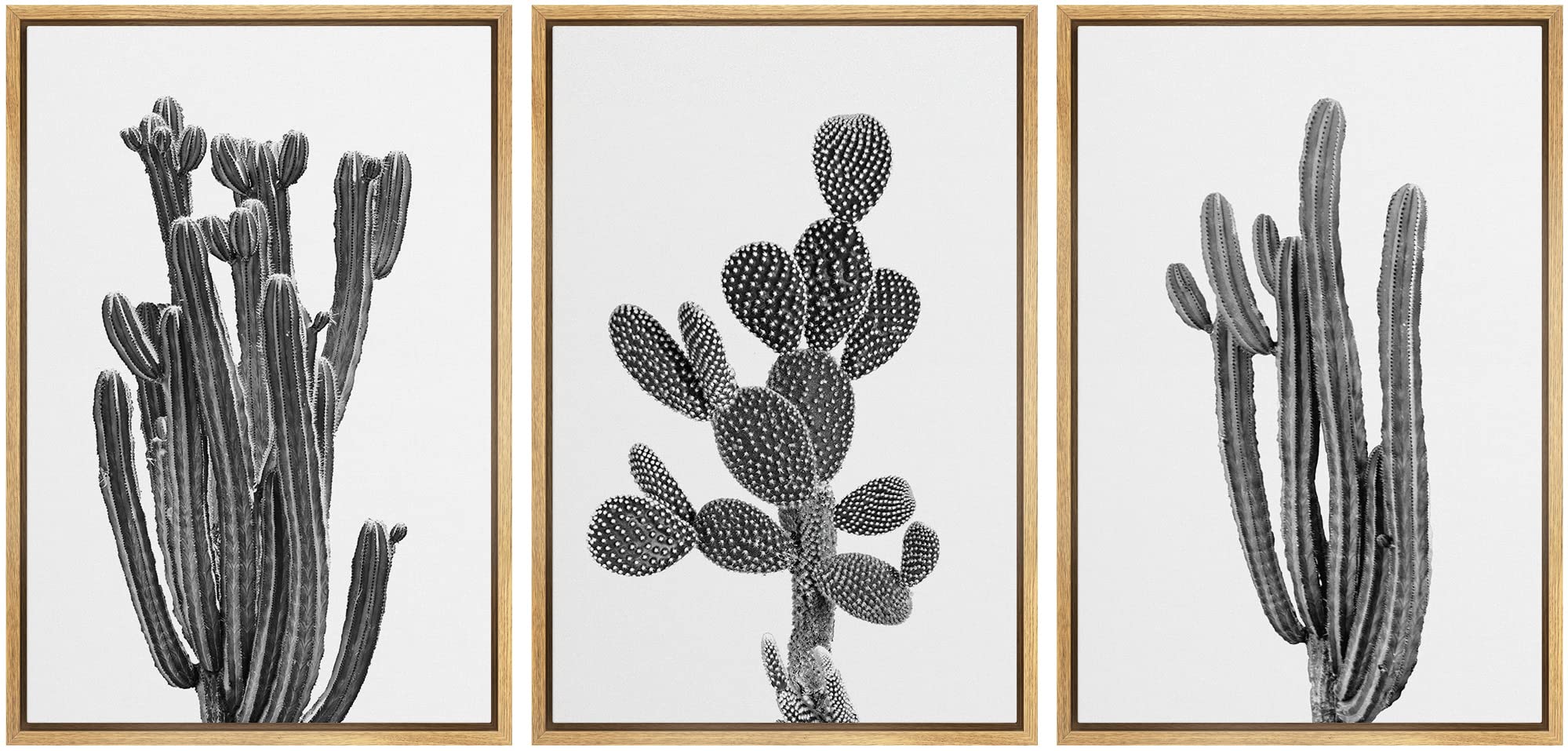 Ashbrook Framed Wall Art Print Set Black & White Southwest Desert Cactus Nature Floral Photography Modern Decorative Multicolor Relax/Calm for Living Room, Bedroom, Office - 16"x24"x3 NATURAL