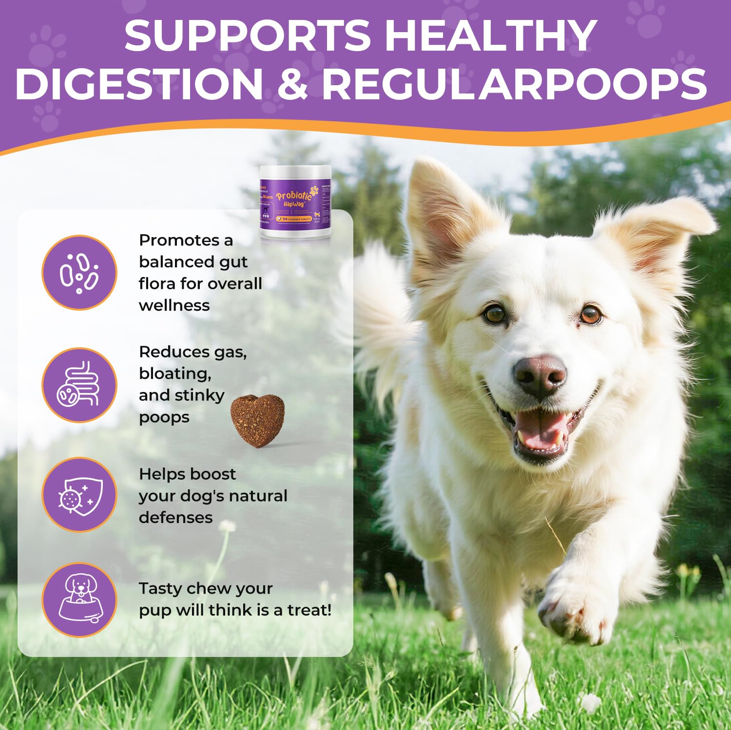 Probiotics for All Breeds and Ages Dogs, Support Gut Digestive Health, Anti Diarrhea, Constipation Relief, No More Allergies, Dog Supplements - Pork Flavor - 90 Soft Chews - image 5