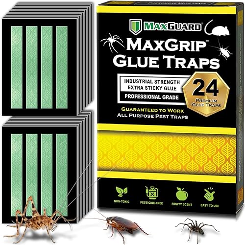 MaxGuard MaxGrip - Trampas de pegamento (24 trampas) no tóxicas, extra pegajosas, con trampa atractante de aroma afrutado y mata insectos, insectos,