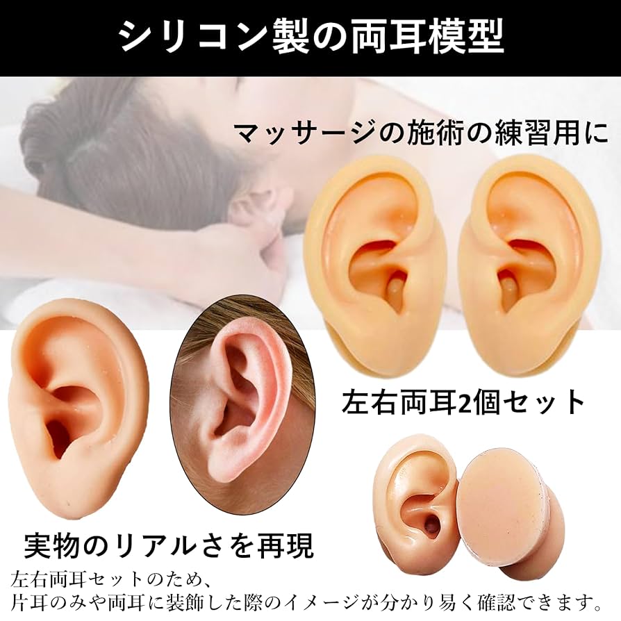 耳の耳 Amazon | SAKIRABITO 耳模型 人口耳 耳つぼ模型 耳モデル 両耳