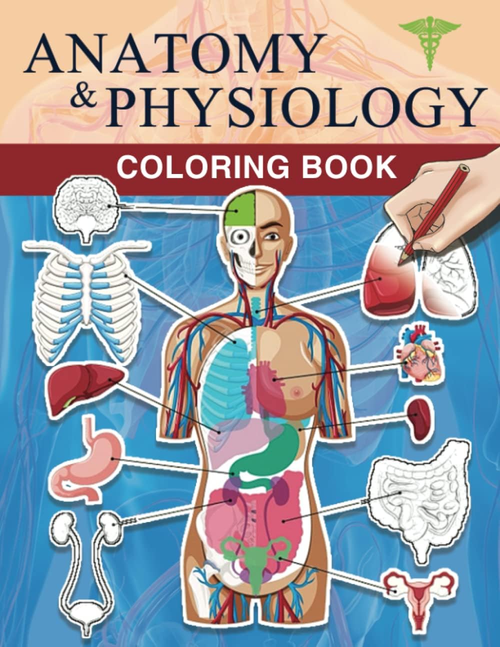 Anatomy and Physiology Coloring Book: A Human Anatomy Colouring Pages for Adults, Teens, Doctors, Nurses and Students The Essential College Level ... and Anyone Interested in our Human Body
