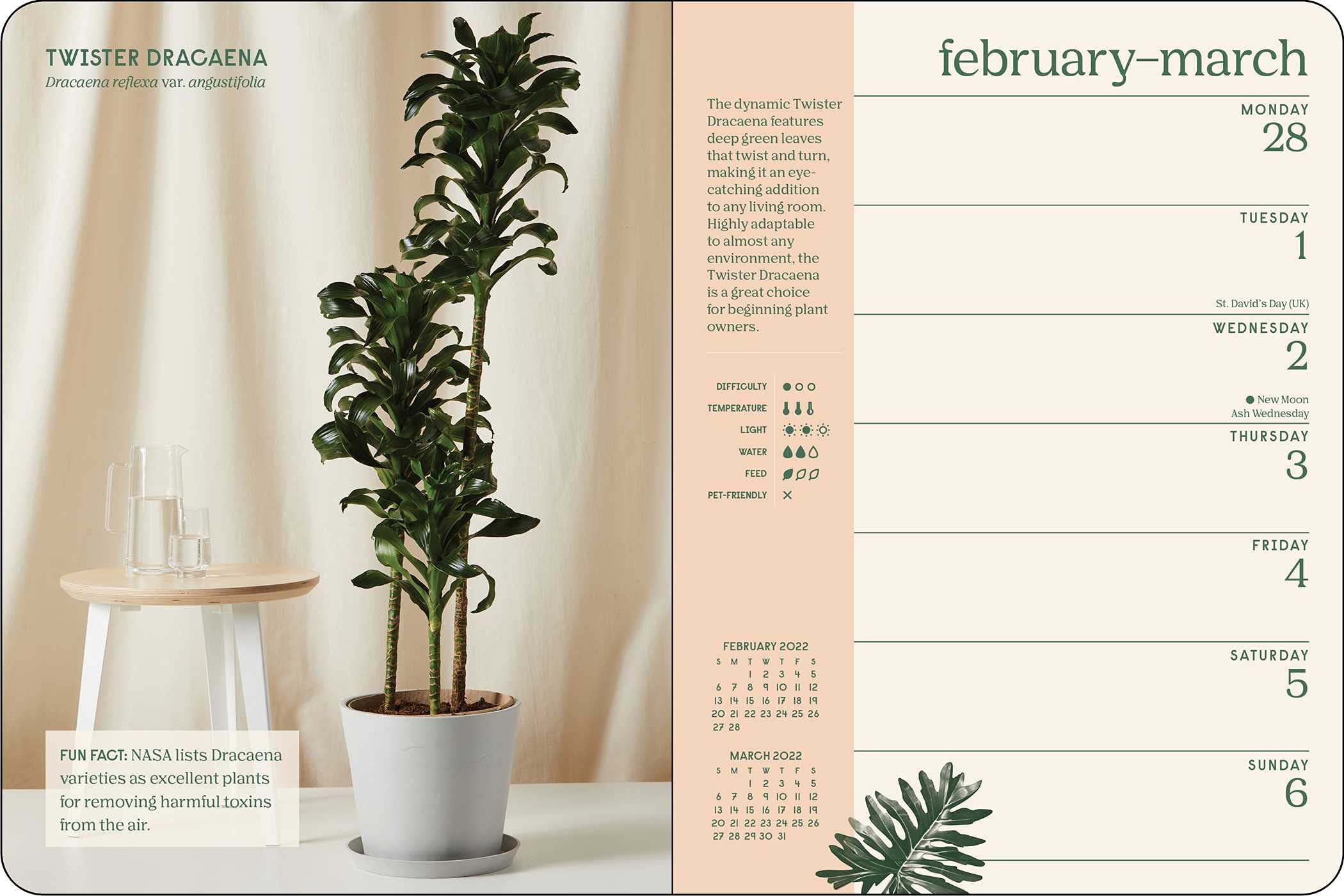 Bloomscape Plant Lovers 2022 Weekly Planner Calendar