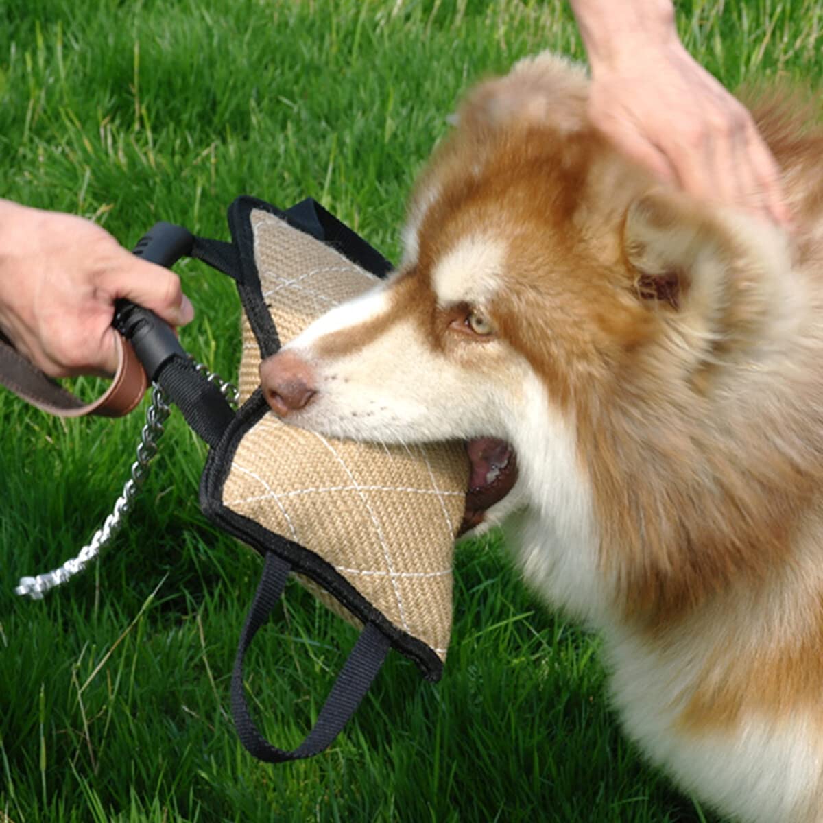 NCONCO Pet Dog Bite Tug Toys Durable Dog Linen Bite Pillow Dog Pull Toy with 3 Handles for Dog Training - Image 4