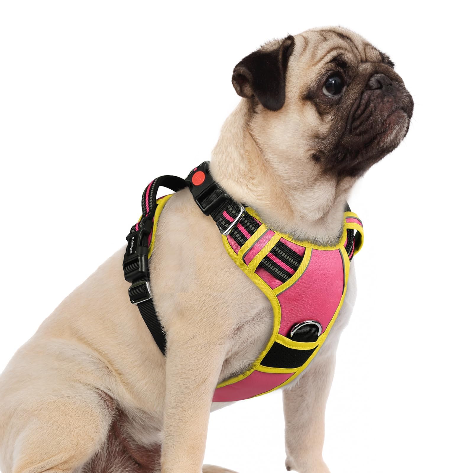 Dog Harness Small Sized