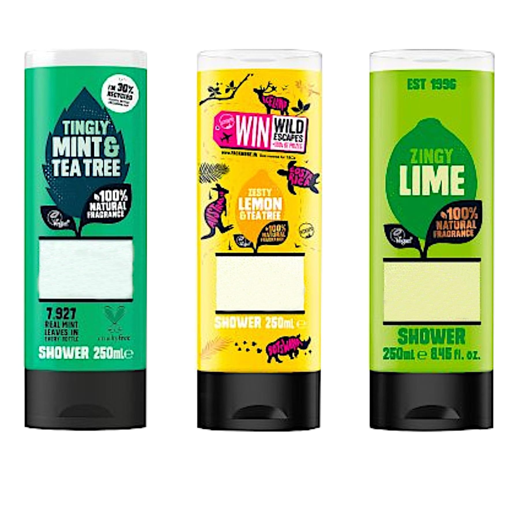Original Shower Gel - Morning Zing 3 Pack Bundle (3 x 250ml) - Contains 3 Refreshing and Invigorating Scents - Tingly Mint Tea Tree, Zingy Lime and Zesty Lemon Tea Tree