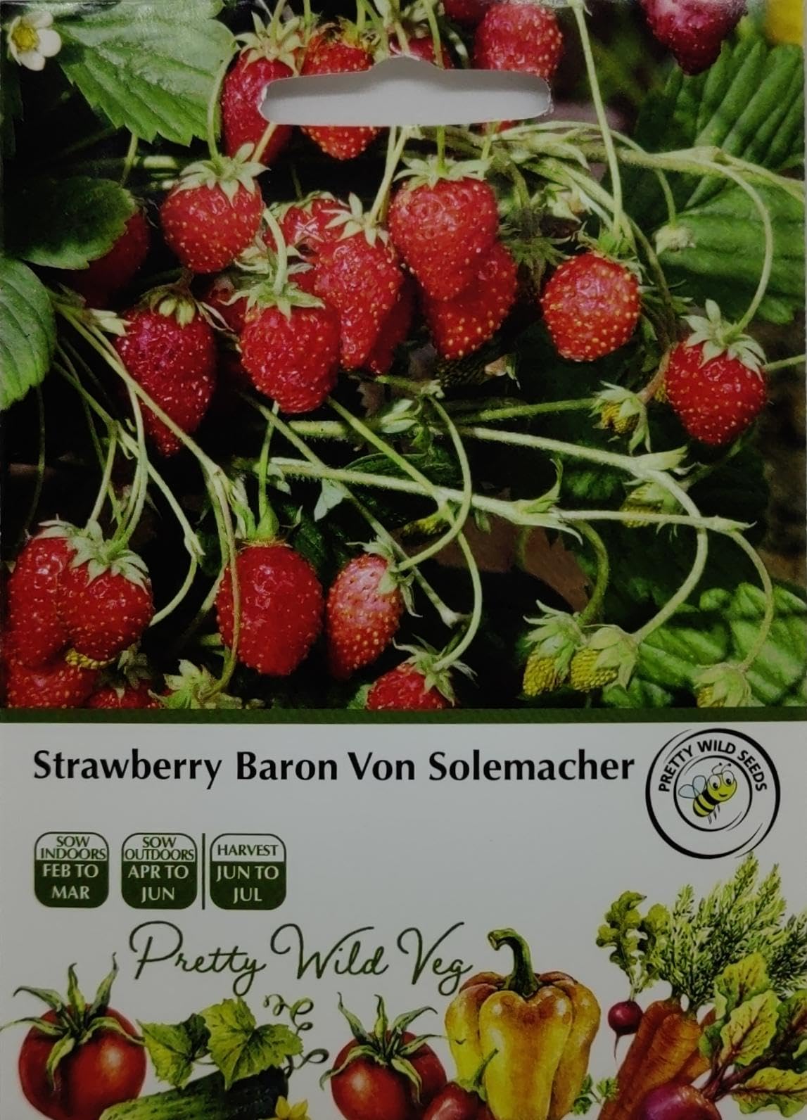 Cucumber Cucamelon Seeds in Pictorial Packet from a UK Seller Cute Fruits with Unique Crunch & Flavour — view 30