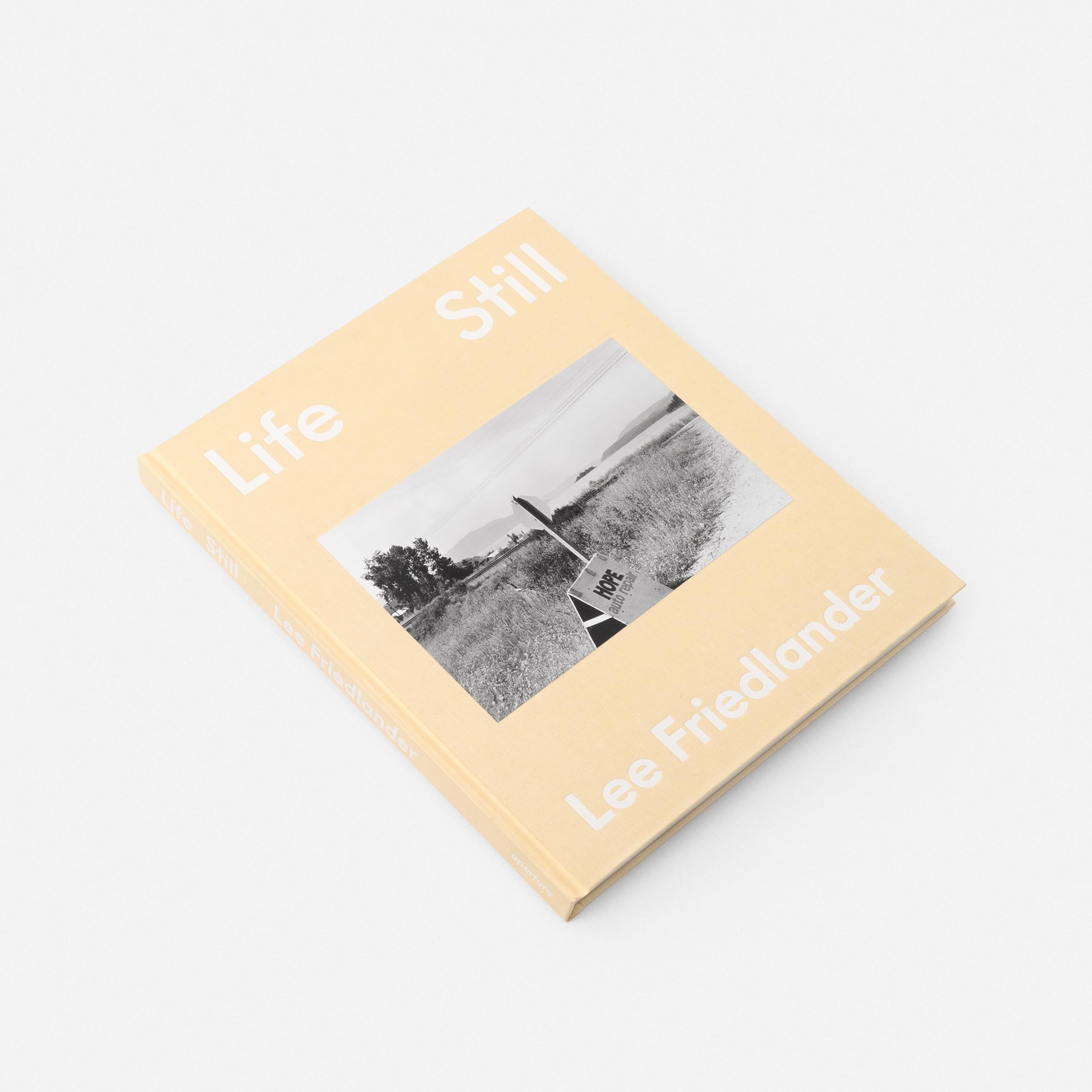 Lee Friedlander Life Still