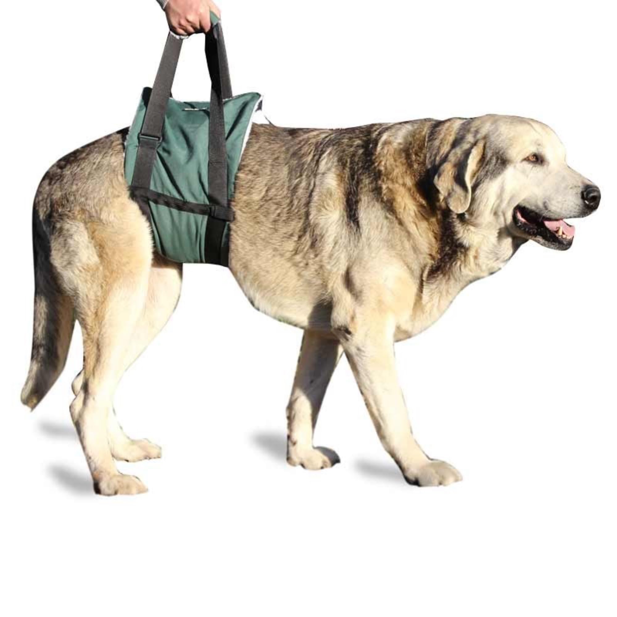 ORTOCANIS - Banda de Ayuda, Arnés de Sujeción para Perros con Problemas de Movilidad, Sujeción para Las Piernas Traseras, Talla S