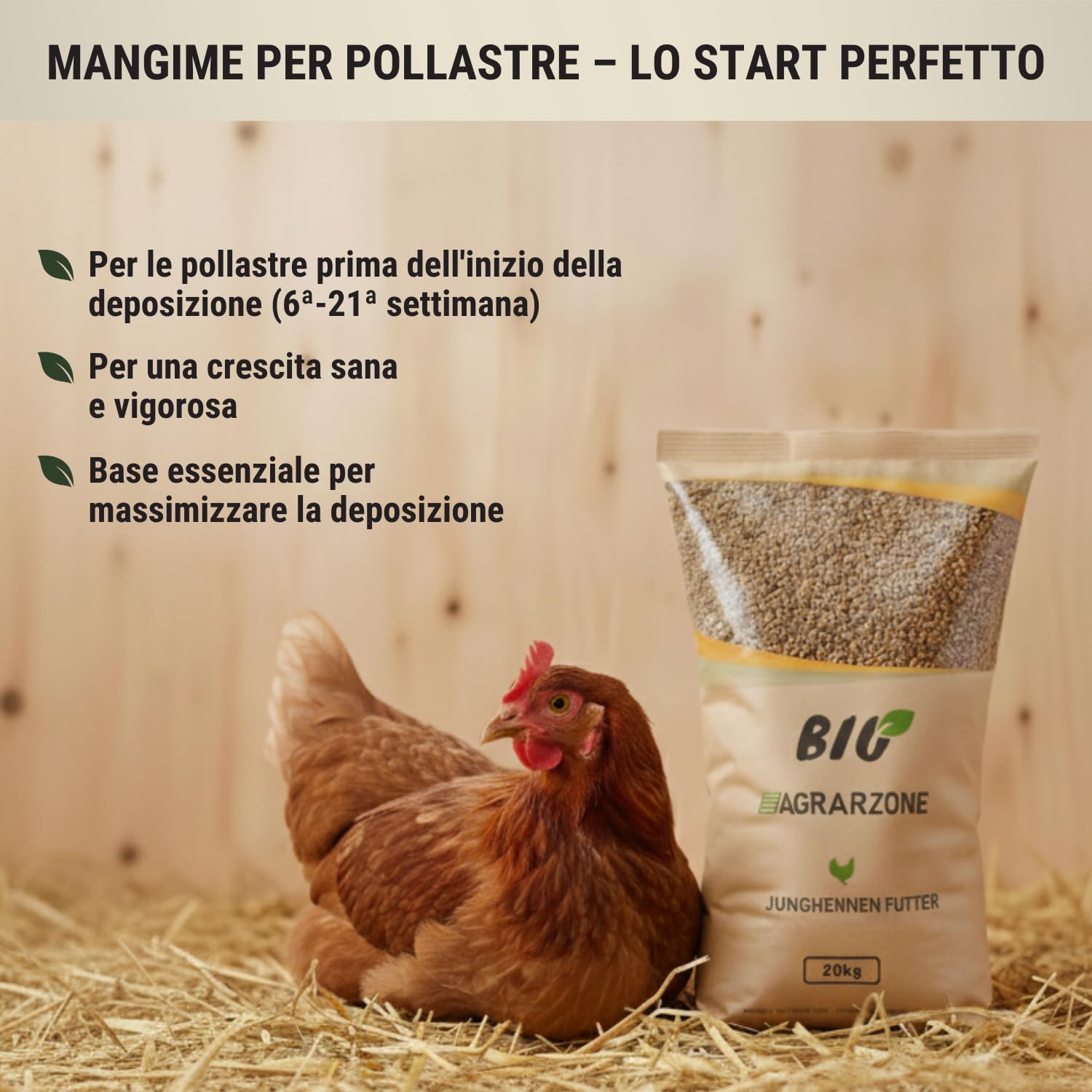 Agrarzone BIO Mangime per Pollastre 20 kg - Alimento Completo per Giovani Galline (6-21 Settimane) - Per Sviluppo Sano & Crescita - Premium Austria Senza OGM