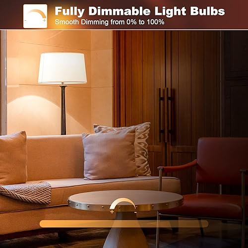 A19 Vintage LED Edison Light Bulbs 40 Watt, 4-Pack Dimmable A19 4W 2200K Amber Warm Light Bulbs, E26 Base, 4W Equal 40 Watt Incandescent Bulbs, Decorative Antique Spiral LED Bulb, 300LM(4w-2200k-amber Warm)