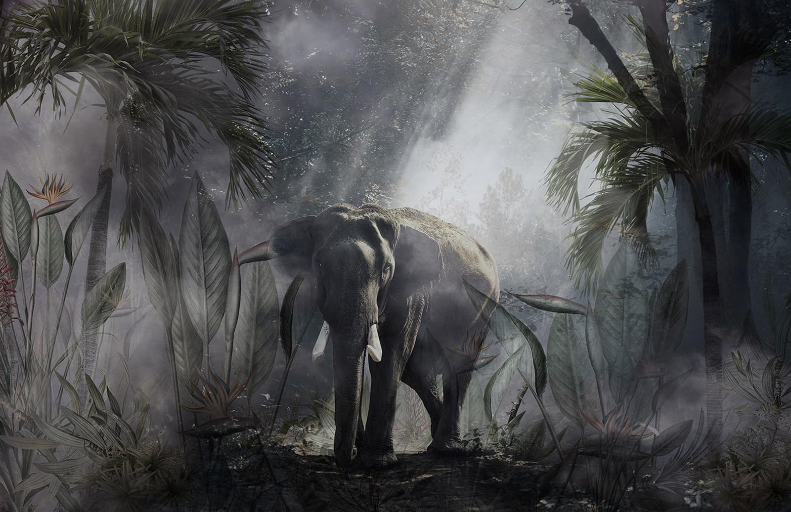 Papier peint panoramique éléphant Lumalea grand format au design épuré