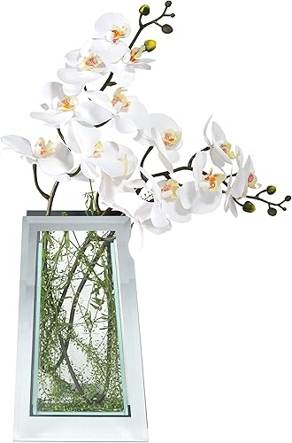 Royal Imports Jarrón de cristal con espejo de flores, 13.5 pulgadas de alto, cónico, decorativo y moderno, centro de mesa floral para decoración del