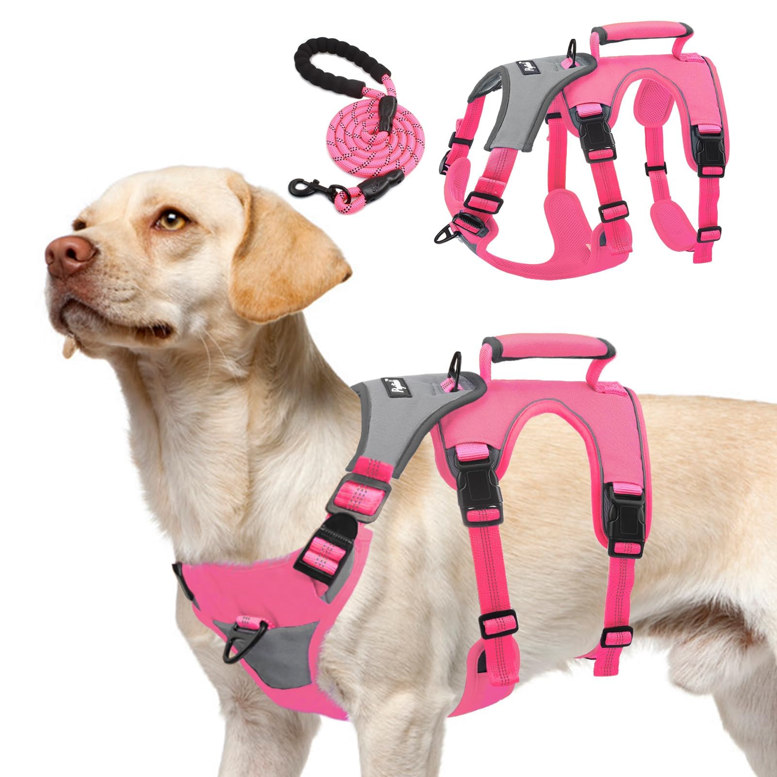 PUPTECK Escape Proof Dog Harness and Leash Set Upgraded No Pull Reflective Dog Vest with Lift Handle, Easy Control Pet Harness for Medium Large Dogs Training Walking Running, Fuchsia, M