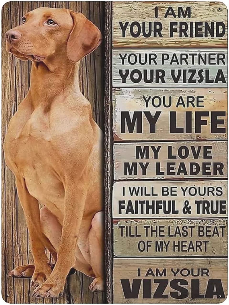 Metal Tin Sign Vizsla Dog Retro Poster Vintage Aluminum Sign For Country Kitchen Home Garage Wall Art Decor Plaque 8x12 Inches