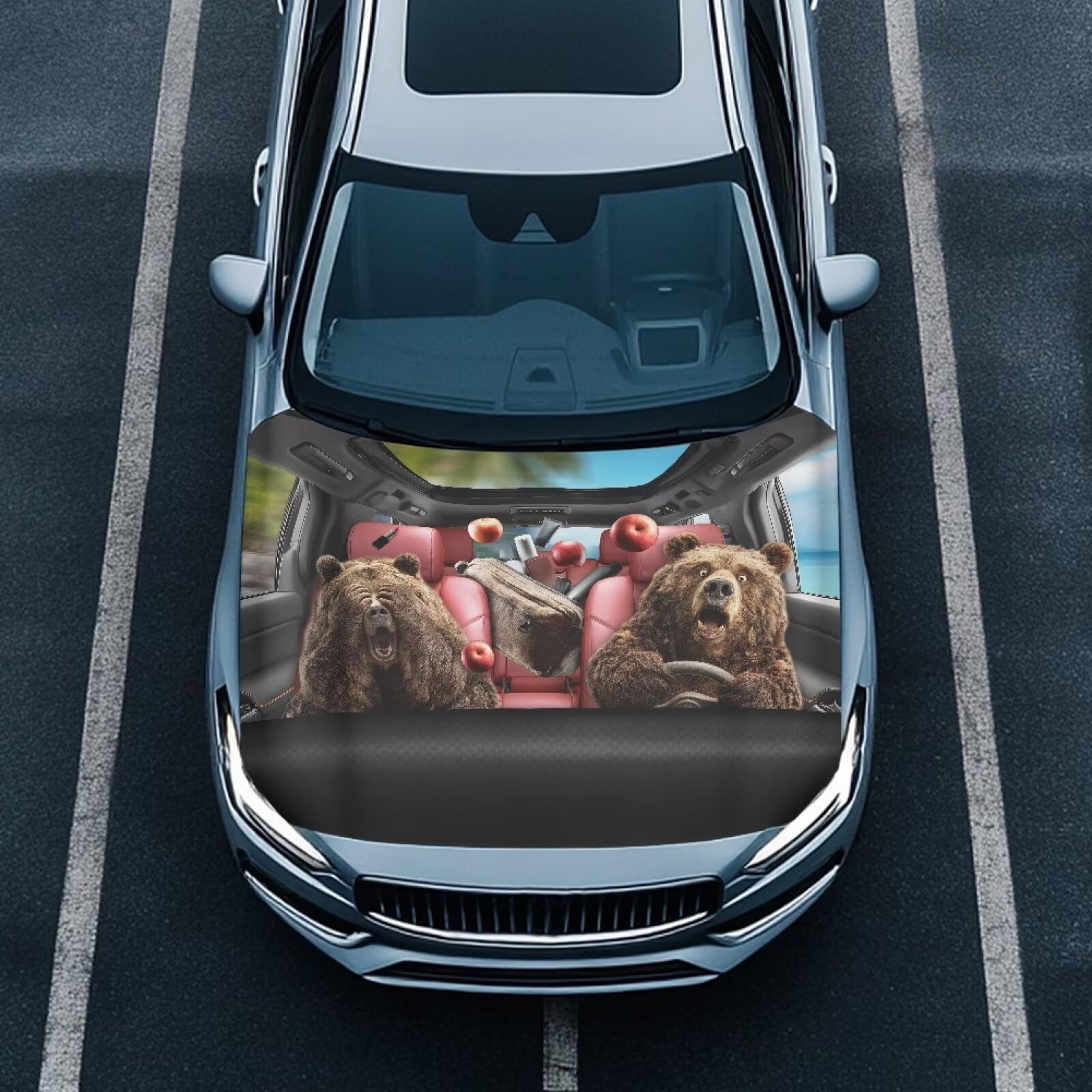 Car Front Hood Cover,Bear Driving Print for Cars,Measuring 39.37"x59.05"(100x150cm) Windshield Snow Cover for Cars,Trucks,Vans