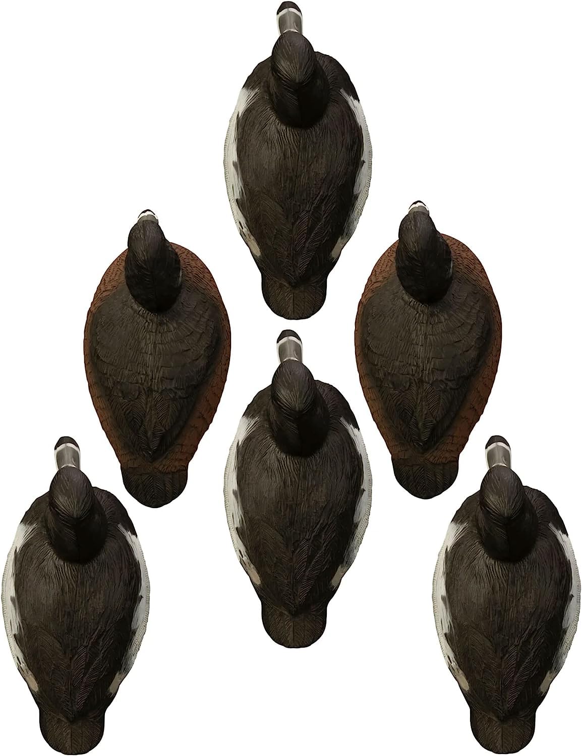 Higdon Outdoors Standard-Ringneck Lockvögel, mit Schaumstoff gefüllt Jagd, Mehrfarbig, Einheitsgröße