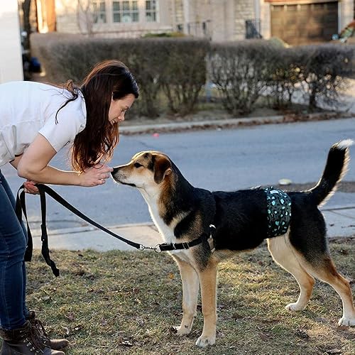 Miniatura 6 de Leekalos Pañales para perros machos (paquete de 3), bandas de vientre de alta absorción para perros machos, lavables y reutilizables (koala, S)
