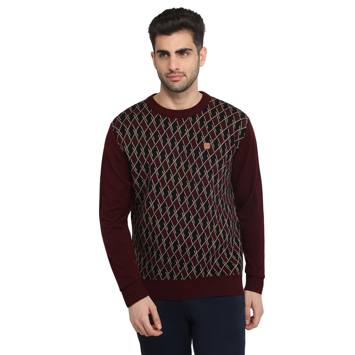 colorplus Men Full Sleeve Regular Fit Jacquard Pattern Pure Acrylic V Neck V Neck Casual Winter wear-picture-43