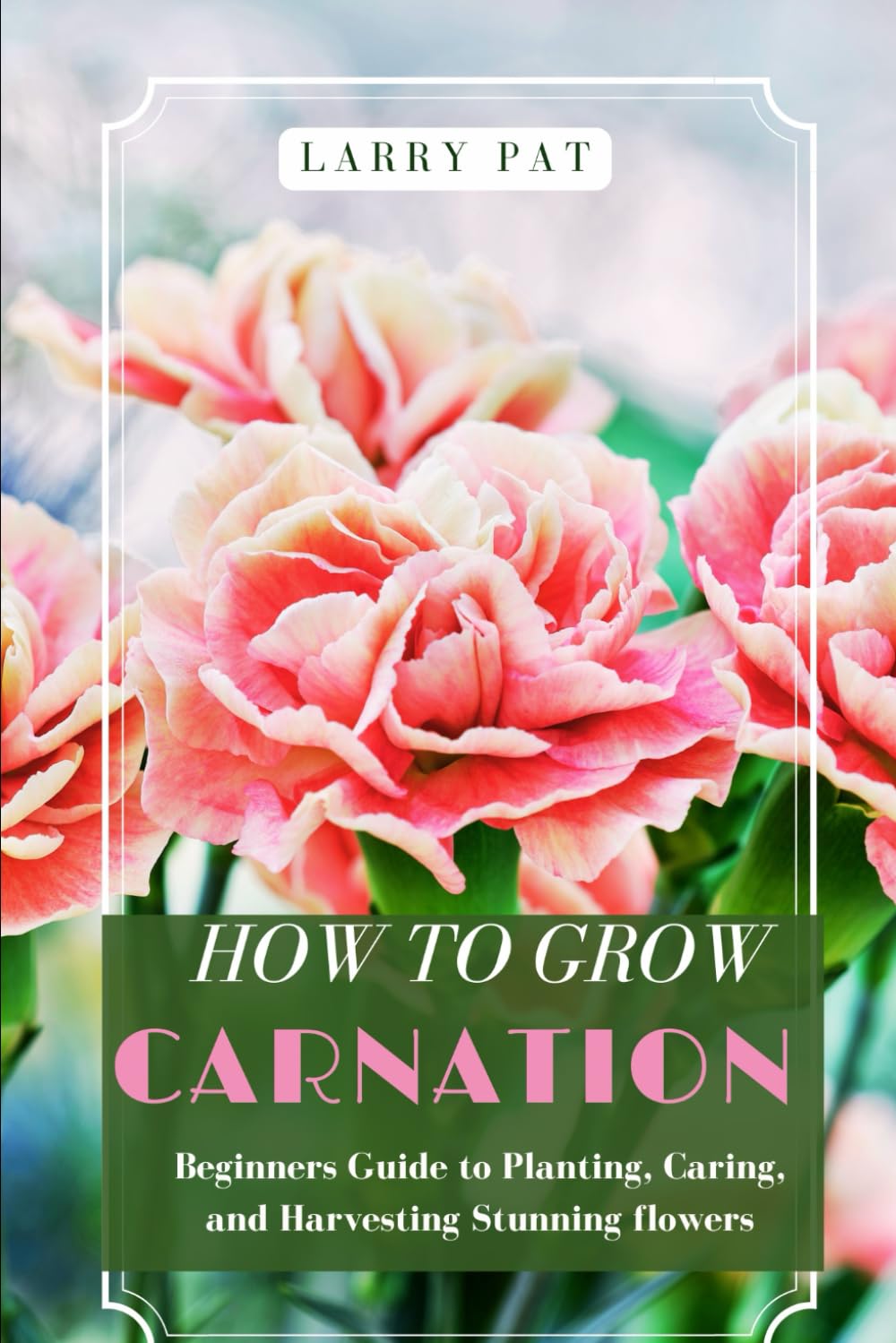 HOW TO GROW CARNATION: Beginners guide to planting, caring and harvesting stunning flowers