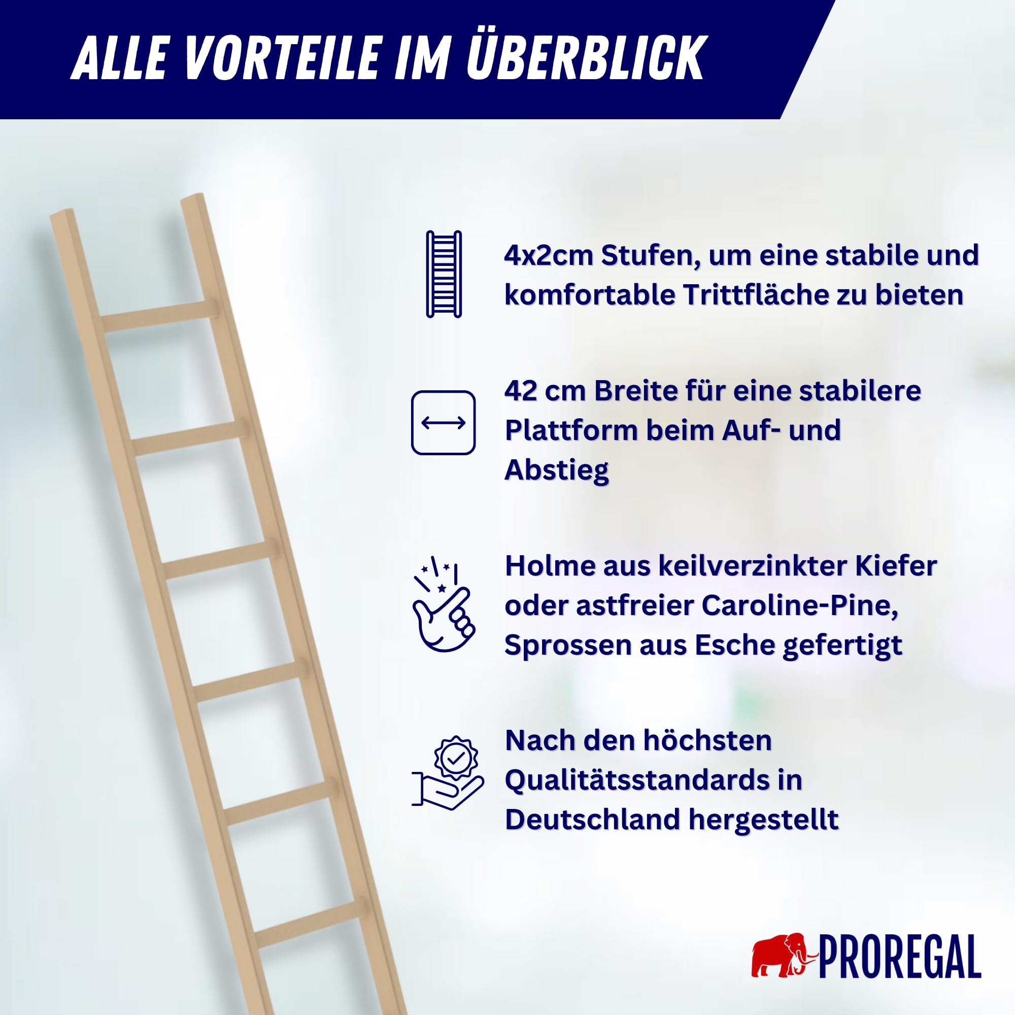PROREGAL Sprossen-Anlegeleiter Holz ohne Traverse | 8 Sprossen | Leiter, Teleskopleiter, Trittleiter, Bockleiter, Sprossen-Doppelleiter