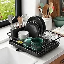 Noir Kitchen Dish Drying Rack - Compact and Space Saving Dish Drying Rack, Stainless Steel Dish Drying Rack with Cutlery Holder, 12" x 15" x 4.9"