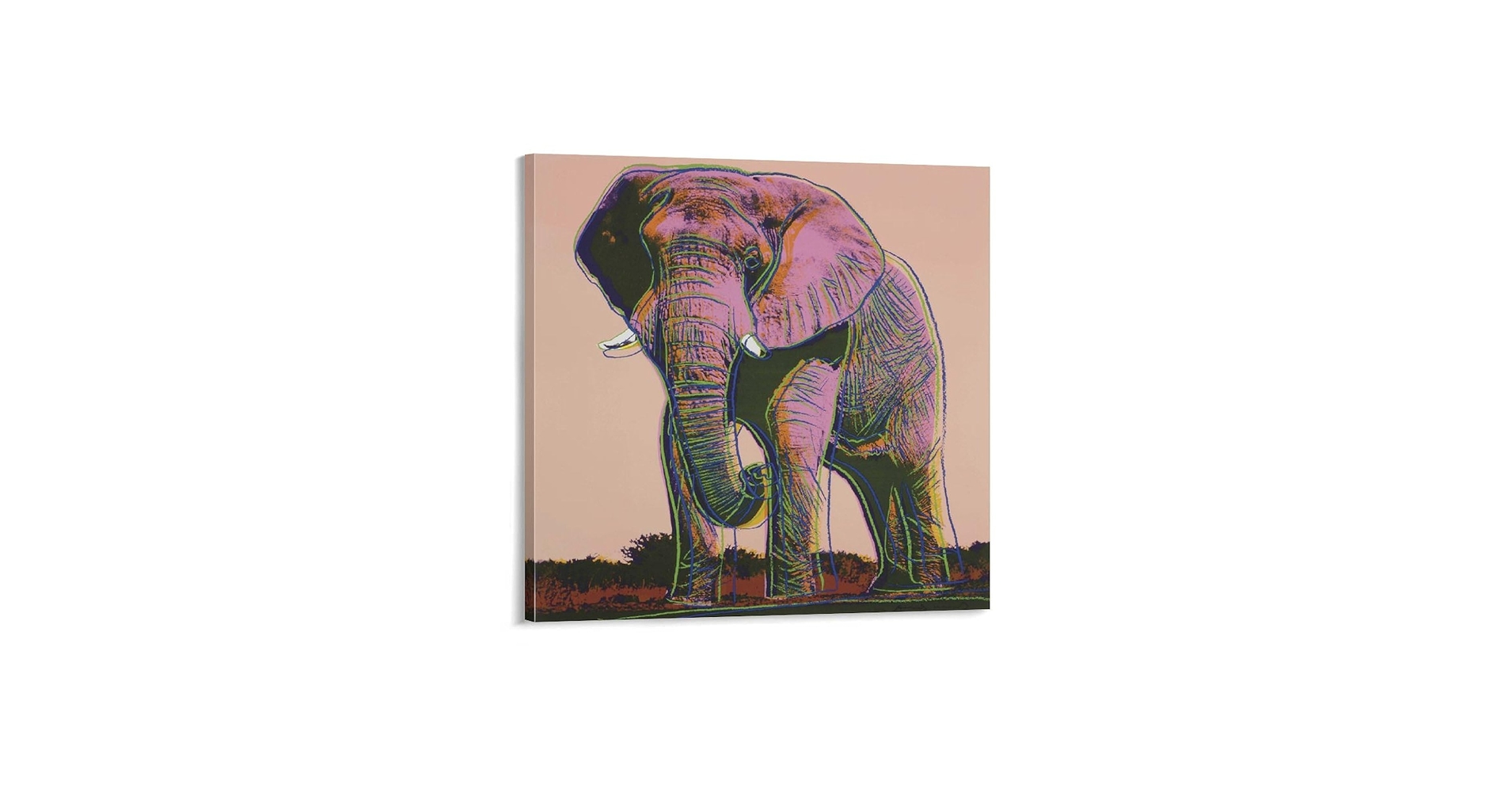 Amazon.co.jp: 画家アンディ・ウォーホル 動物象ポスター クール Amazon.co.jp: 画家アンディ・ウォーホル 動物象ポスター クール