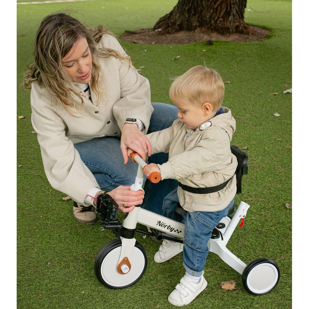 Interbaby Norby: 5 in 1 Dreirad und Laufrad mit Verdeck, 1 bis 5 Jahre