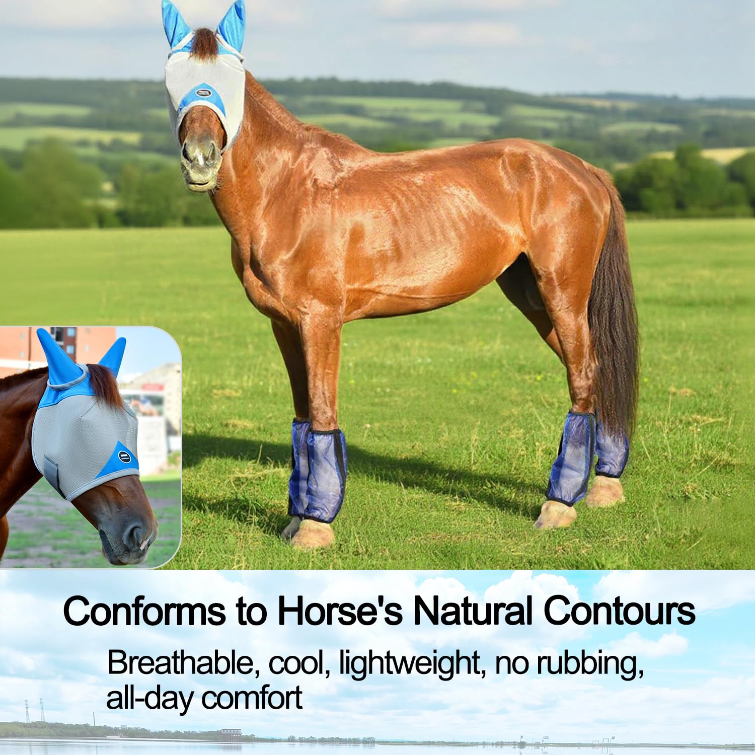 Fornyk Horse Fly Mask, Adjustable Fly Masks for Horses with Ears, Breathable and 70% UV Protection, Comfort Mesh Without Nose Cover, Horses Accessories (Grey, Blue, Medium) - image 5