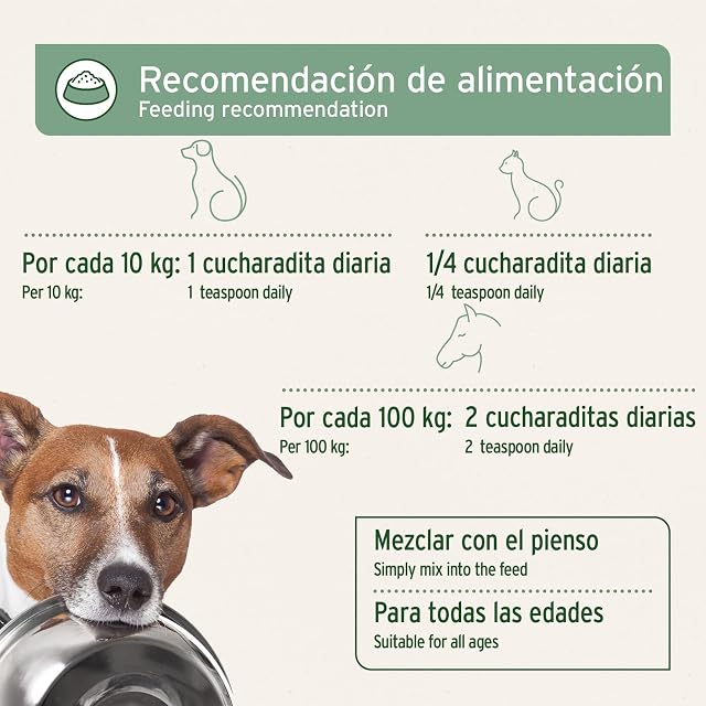 Foto 7 de 8 de AniForte Aceite de Salmón para Perros 1 Litro