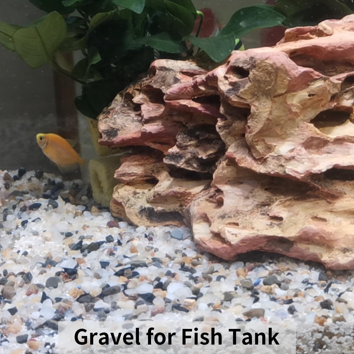 FANTIAN 10 lbs Colorful Pebbles Pea Gravel for Landscaping, 3/8 Inch Decorative River Rocks for Plant Indoor Succulent Cactus Vase Garden and Plant Pots
