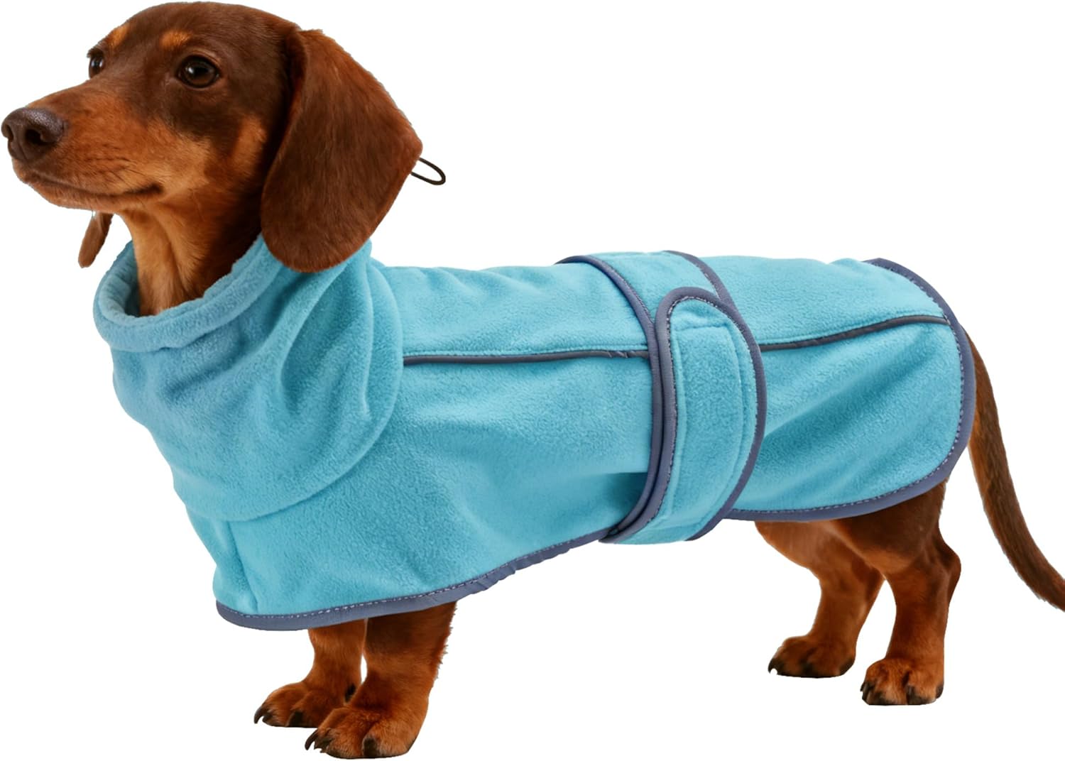 Warm Fleece Dachshund Coats, Dachshund Sweater, Miniature Dachshund Sausage Dog Clothes Jacket, Wiener Corgi Pullover with Adjustable Bands (Light Blue, L)