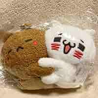 愛しすぎて大好きすぎるにゃんことくま　ぬいぐるみハグハグ Amazon.co.jp: 愛しすぎて大好きすぎる。 にゃんことくま
