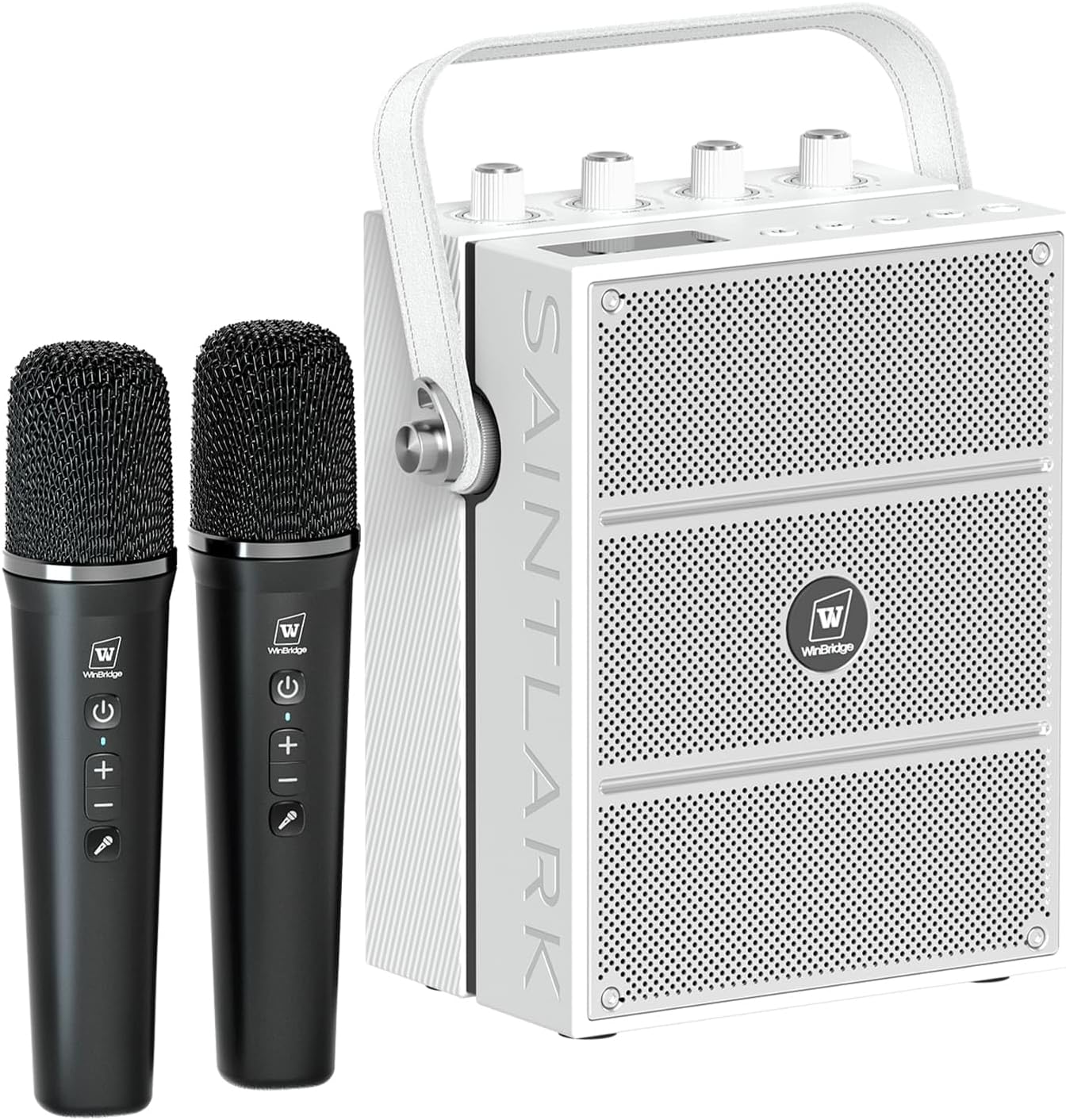 100W Powerful Speaker with 2 Wireless Microphones, Portable Microphone with Speaker Set Support Guitar Input, Karaoke Machine Voice Amplifier Bluetooth PA System for Party, Teaching, Singing S99