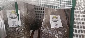 Review Image by bobby bobby