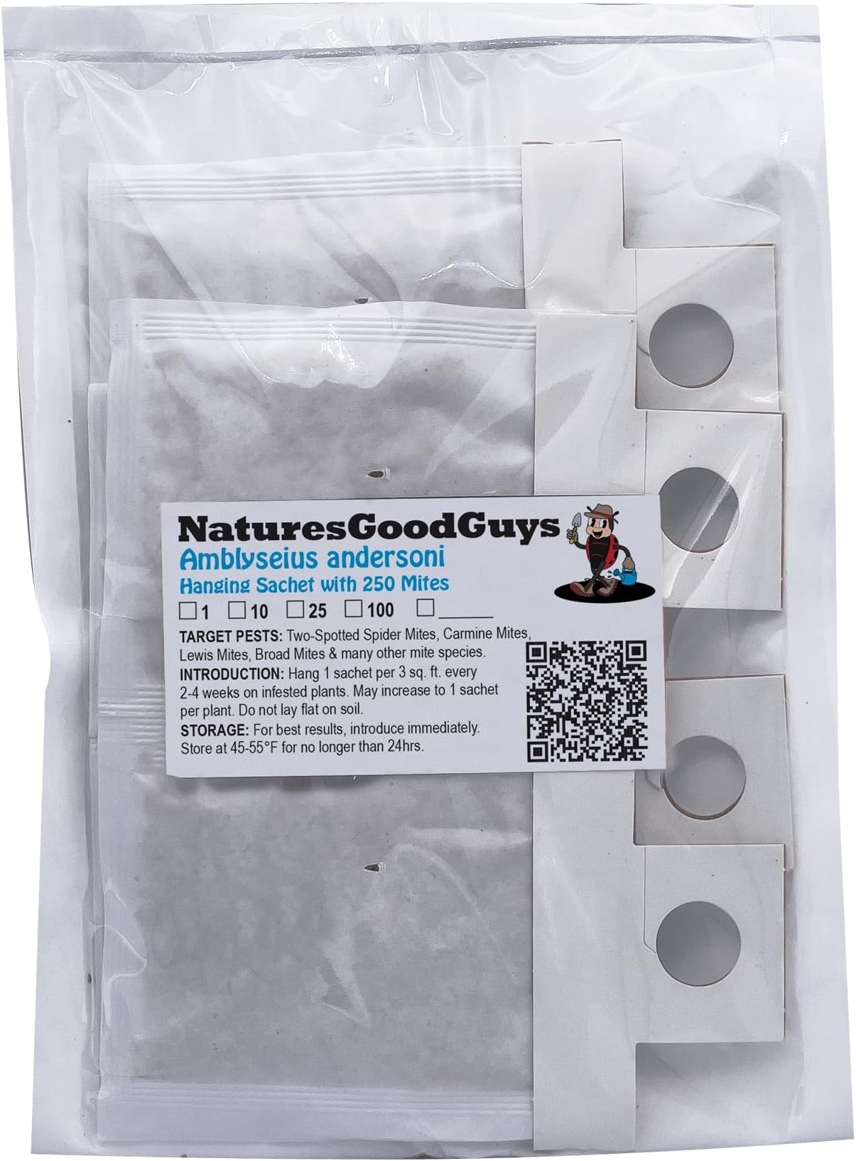 Amblyseius andersoni 10 Sachets with 250 Mites