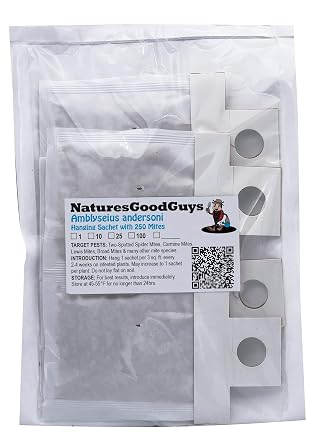 Amblyseius andersoni 10 Sachets with 250 Mites