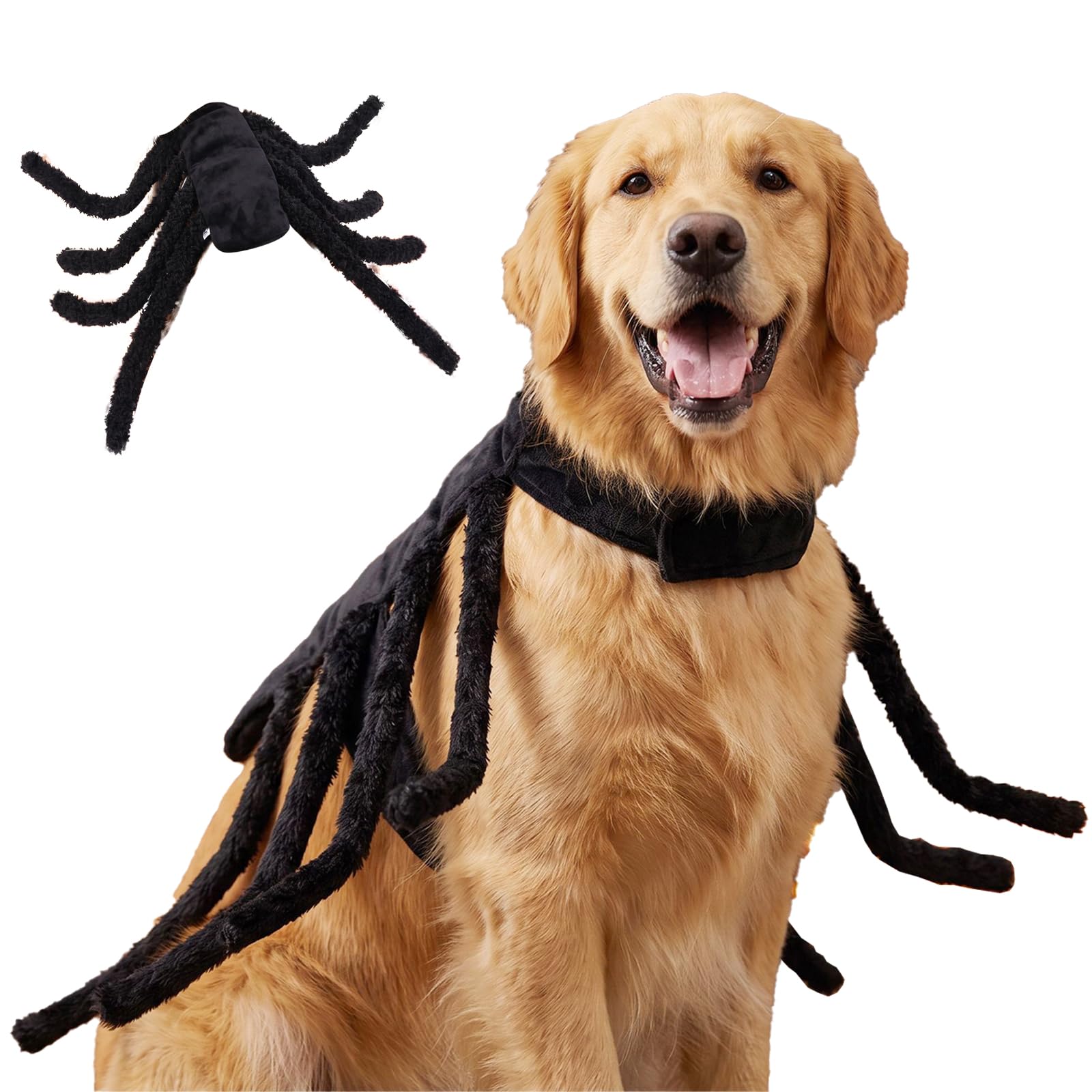 WSXQAZ Spider Costume for Cat and Dog, Halloween Pet Costume for Cosplay (L)